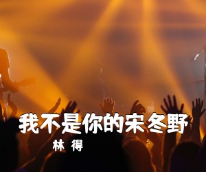 林啟得《我不是你的宋冬野吉他谱》(C调)