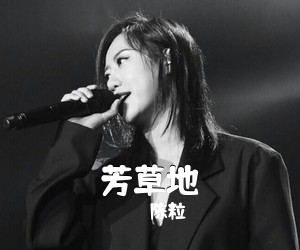 陈粒《芳草地吉他谱》(G调)
