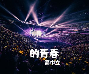 高巾立《的青春吉他谱》(G调)
