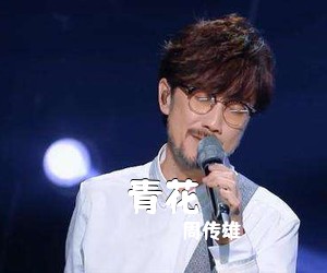 周传雄《青花吉他谱》(G调)