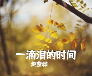 赵紫骅《一滴泪的时间吉他谱》(C调)