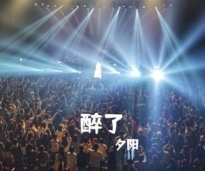 夕阳《醉了吉他谱》(A调)
