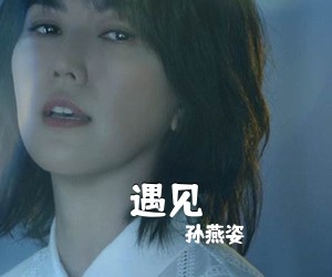 孙燕姿《遇见吉他谱》(C调)