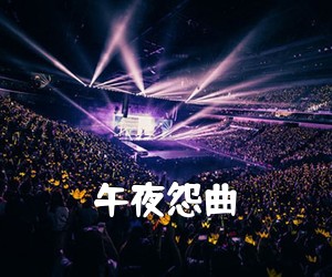 《午夜怨曲吉他谱》(C调)