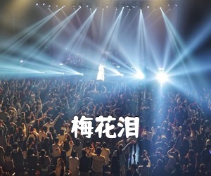 《梅花泪吉他谱》(G调)