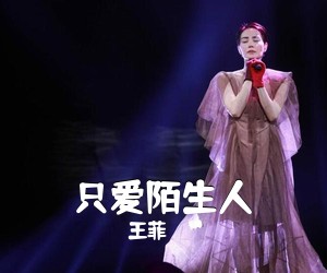 王菲《只爱陌生人简谱》