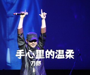 刀郎《手心里的温柔吉他谱》(F调)