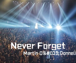 Martin O'Donnell Michael Salvatori《Never Forget简谱》