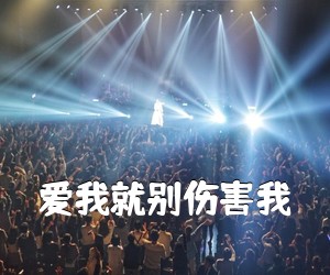 《爱我就别伤害我吉他谱》(C调)