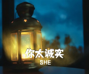 SHE《你太诚实吉他谱》(C调)