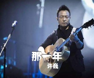 许巍《那一年吉他谱》(C调)