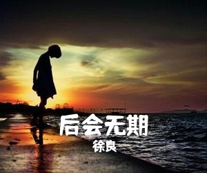 徐良《后会无期吉他谱》