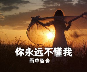 雨中百合《你永远不懂我吉他谱》(C调)