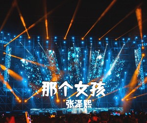 张泽熙《那个女孩吉他谱》(C调)