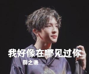薛之谦《我好像在哪见过你吉他谱》(C调)