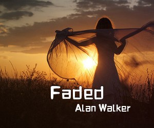 Alan Walker《Faded吉他谱》(C调)