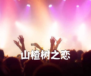 《山楂树之恋吉他谱》