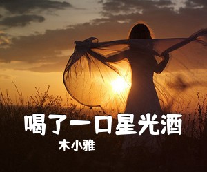 木小雅《喝了一口星光酒吉他谱》(C调)