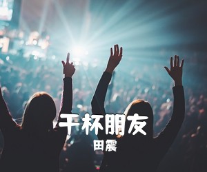 田震《干杯朋友吉他谱》(D调)