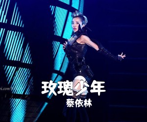 蔡依林《玫瑰少年吉他谱》(G调)