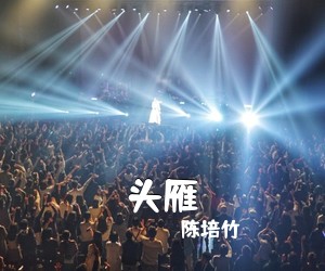 陈培竹《头雁简谱》