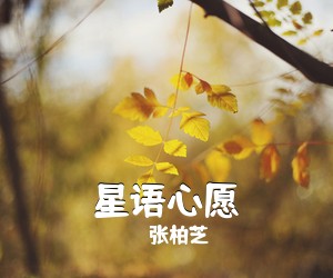 张柏芝《星语心愿吉他谱》(G调)