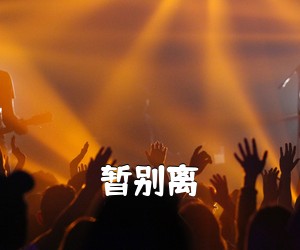 《暂别离吉他谱》(G调)