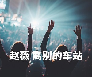 《赵薇 离别的车站吉他谱》