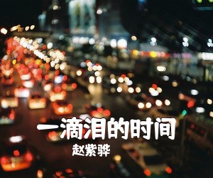 赵紫骅《一滴泪的时间吉他谱》(C调)