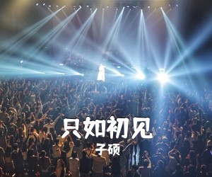 子硕《只如初见吉他谱》(C调)