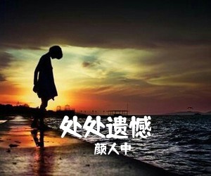 颜人中《处处遗憾吉他谱》(G调)