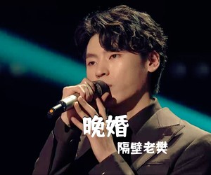 隔壁老樊《晚婚吉他谱》
