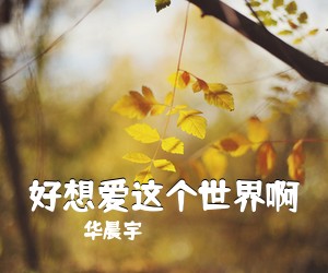 华晨宇《好想爱这个世界啊吉他谱》(C调)