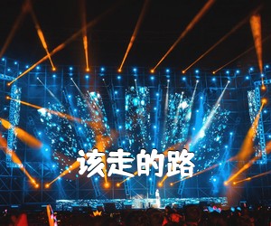 《该走的路吉他谱》
