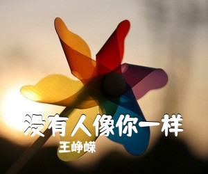 王峥嵘《没有人像你一样吉他谱》(G调)