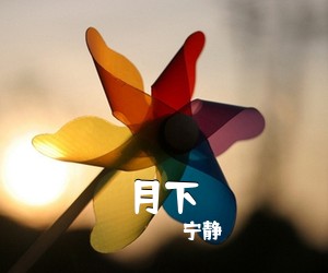 宁静《月下吉他谱》(C调)