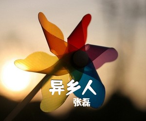 张磊《异乡人吉他谱》(C调)