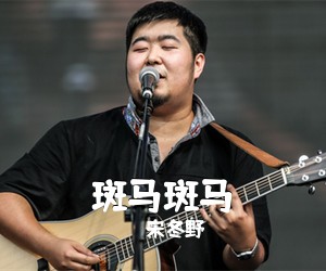 宋冬野《斑马斑马吉他谱》(C调)