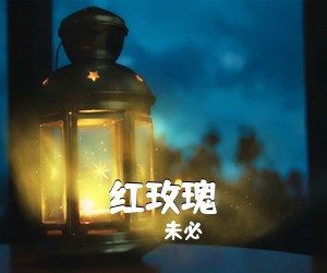 未必《红玫瑰吉他谱》(C调)
