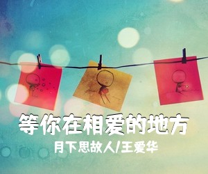 月下思故人/王爱华《等你在相爱的地方简谱》