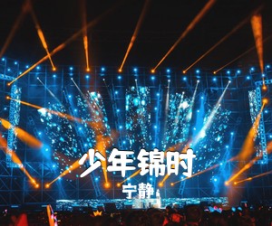 宁静《少年锦时吉他谱》(D调)