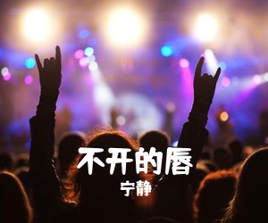 宁静《不开的唇吉他谱》(D调)