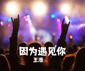 王源《因为遇见你吉他谱》(G调)