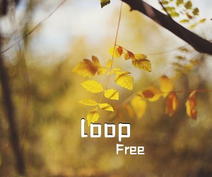 Free《loop吉他谱》(C调)