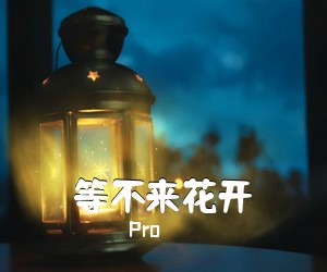 Pro《等不来花开吉他谱》(C调)