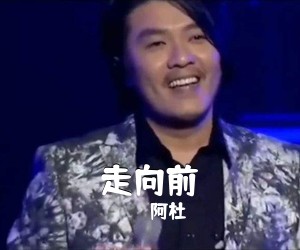 阿杜《走向前吉他谱》(G调)