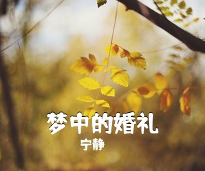 宁静《梦中的婚礼吉他谱》(G调)