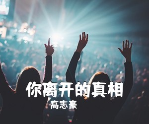 高志豪《你离开的真相吉他谱》