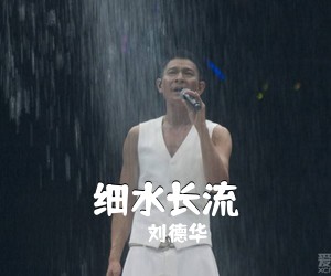 刘德华《细水长流吉他谱》(C调)