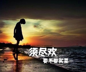 ***买菜《须尽欢吉他谱》(C调)